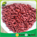 China best goji berries supplier with Kosher ISO Haccp FDA certificate